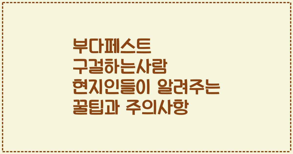 부다페스트 구걸하는사람 현지인들이 알려주는 꿀팁과 주의사항