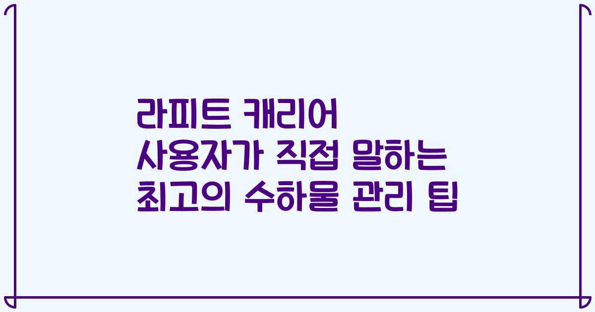 라피트 캐리어 사용자가 직접 말하는 최고의 수하물 관리 팁