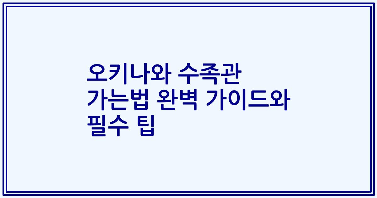 오키나와 수족관 가는법 완벽 가이드와 필수 팁